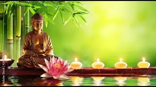 IBMC Los Angeles Live Stream 1/14/24 Meditation and Dhamma talk given  by Sailes Maharjan