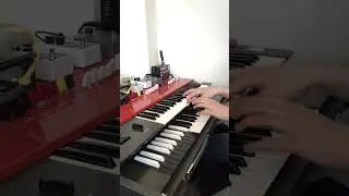 Paradiddle practice and groove on Organ (Yamaha YC-25D)