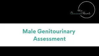 Physical Assessment of the Male Genitourinary System  - RN Health Assessment