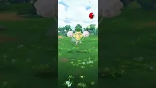 Investigación temporal de objetivo te captura: Oricorio #pokemon #pokemongo #oricorio 
