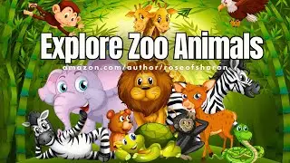 Explore Zoo Animals with Children's Learning Channel | Educational Video for Kids