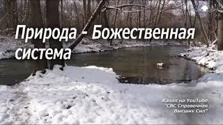 795_Природа - Божественная система