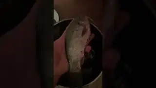 Простой способ засолить карася ЧАСТЬ1
