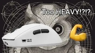 Is lighter really better??? | WAIZOWL OGM Pro