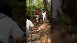 Shivapuri National Park | Hiking #xiteez #travel