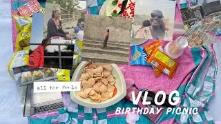 SURPRISE MINIMAL CELEBRATION: Friends birthday picnic bash #birthdayvlog #nigerianyoutuber