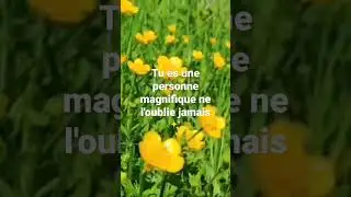 ne l'oublie pas
