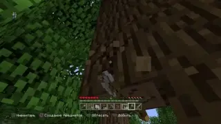 Первый стрим по Minecraft