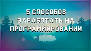5 СПОСОБОВ КАК ЗАРАБОТАТЬ НА ПРОГРАММИРОВАНИИ // НАЧАЛО ПРОФЕССИОНАЛЬНОЙ РАЗРАБОТКИ