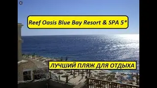 Египет 2021. Reef Oasis Blue Bay 5*. ЛУЧШИЙ ПЛЯЖ 2021 ДЛЯ ОТДЫХА ЗИМОЙ?