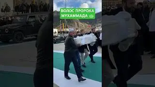 Волос Пророка Мухаммада ﷺ  ❤️ 
