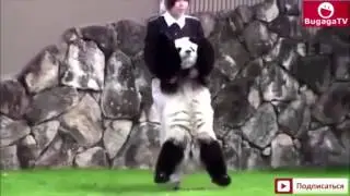 Приколы года