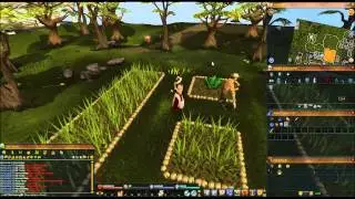 Runescape 3 - Daily Challenges - Plant Wegali Seed - Farming