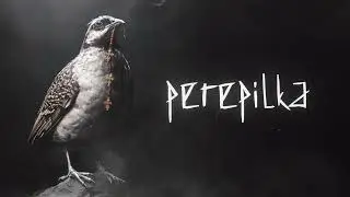 BARTKY - Perepilka