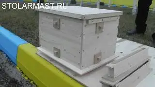 Нуклеус на 4 отсека на основе 8-ми рамочного улья