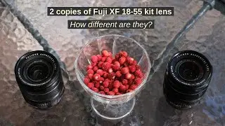 Two units of Fuji XF 18-55mm F/2.8-4 lens. How different are they?