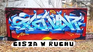 CISZA W RUCHU