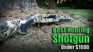 Best Semi-Auto Hunting Shotgun Under $1000 / Stoeger M3500