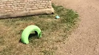 Квест N4