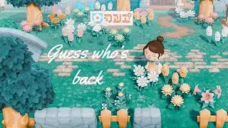 I'm Back!!! - ACNH