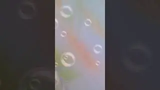 Финаааааааааааааааааалл