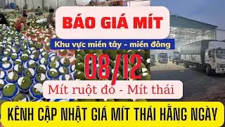Giá mít hôm nay - giá mít thái và giá mít ruột đỏ ngày 8/12/2022