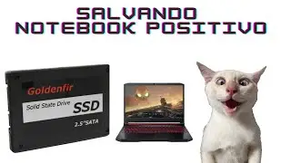 SSD 128 GB Goldenfir salvando notebook positivo Unique