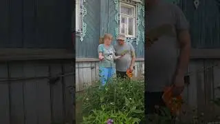 Ловушка импортная для  мышей...