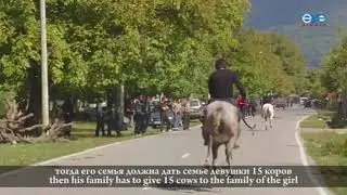 Трейлер   Законы Панкиси