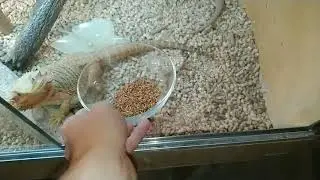 Ответ на вечный вопрос %)