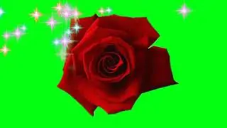green screen effects.flowers green screen effects.rose green screen effects.