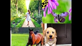 Get Stunning Images from any Text input using AI Online | Text to HD Image | Create art in seconds