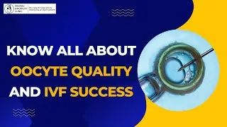 Unleashing the Potential: Oocyte Quality's Role in IVF Success | 