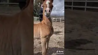 Подпишись на меня, а буду выкладывать крытые видосики!!