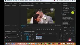LUTs-PACK-COLOR-GRADE WEDDING SIDA LOOSOO DEGSADO ADOBE PREMIERE PRO FREE DOWNLOAD 2021