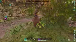 ARK ASCENDED Oficial Server