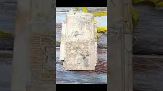 accordian journal