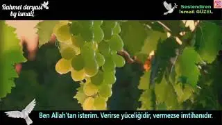 ben Allah'tan isterim 