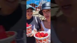 мастер класс бесплатно 