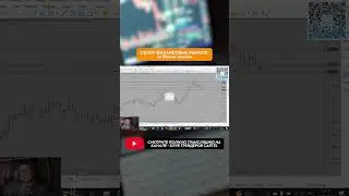 Обзор финансовых рынков I Сентябрь 2024