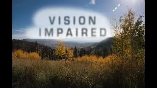 Vision impaired photographer? #photography #lostvision #wildlife
