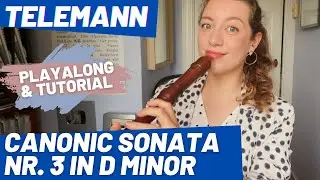 Telemann Canon Sonata nr. 3 in Dm: Playalong | Team Recorder
