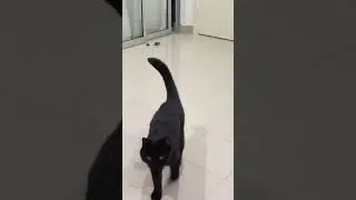 Macam mana la tak geram😌