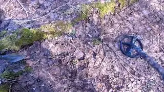 Прогулка с металлоискателем