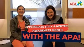 The Importance of Spay and Neutering Your Pet (Plus Resources for Accessibility)