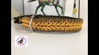 Adjustable paracord dog collar swirl pattern