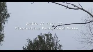 Eliminate background noise WITHOUT losing quality!