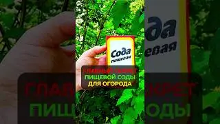 You 100% didn't know this: secret fertilizer made from soda 