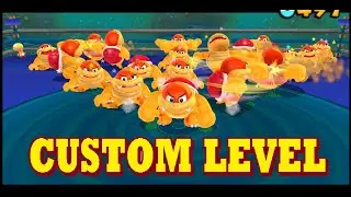 Can Mario beat 20 BOOM BOOMS ? - Super Mario 3D Land [CUSTOM LEVEL]