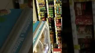 Собака в магазе